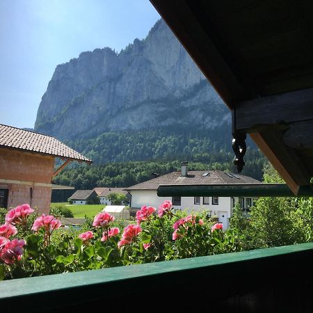 Ferienwohnung Meindl Elfi An der Drachenwand 44 Mondsee Exterior foto