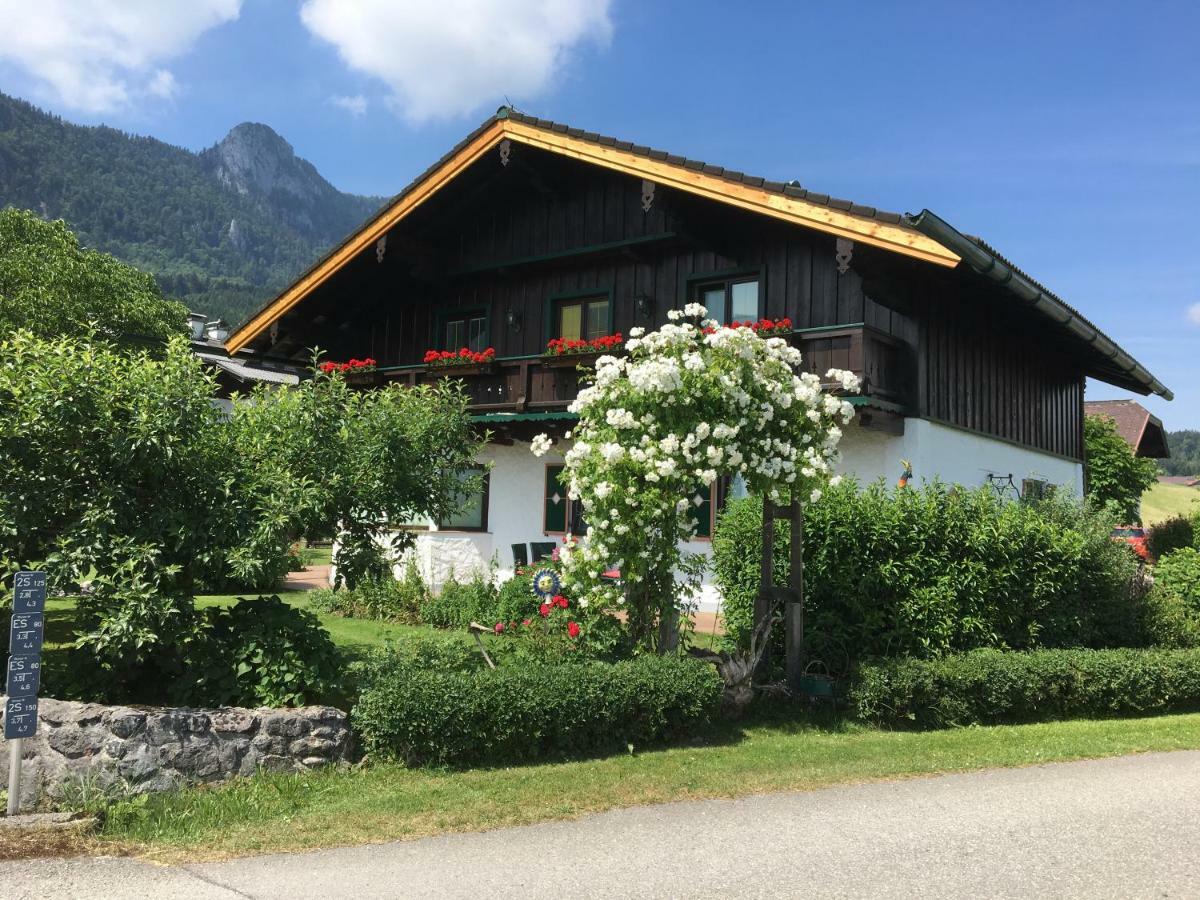 Ferienwohnung Meindl Elfi An der Drachenwand 44 Mondsee Exterior foto